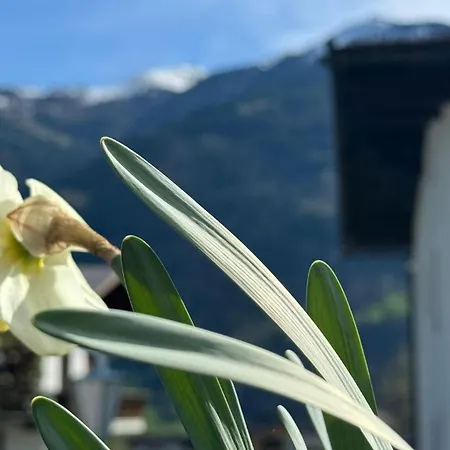 Heim Apartamento Fügen